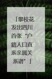 攀枝花发出四川首张“户籍人口直系亲属关系谱”